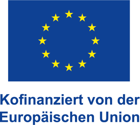 EU Logo