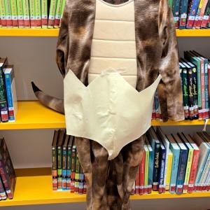 Kostüm-kinder-dinosaurier